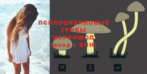 прущая мука Горняк