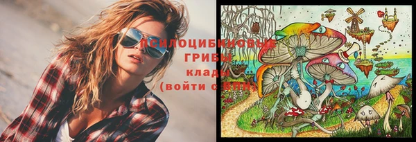 прущая мука Горняк