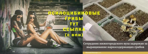 сатива Горно-Алтайск