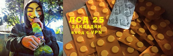 сатива Горно-Алтайск