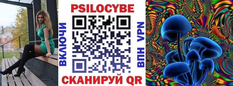 Галлюциногенные грибы GOLDEN TEACHER  Купить  Каргат 